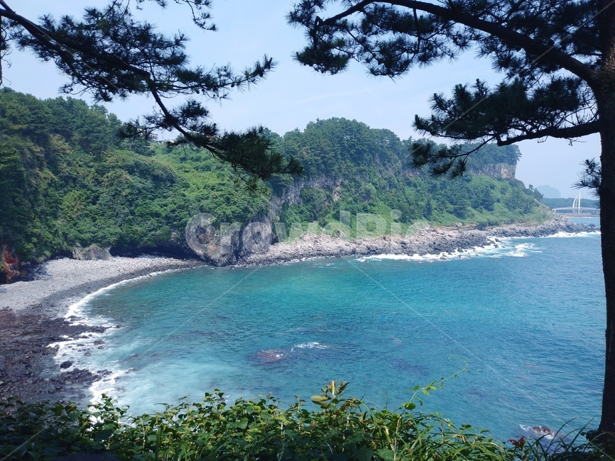 제주도,하늘,돌,나무,바다