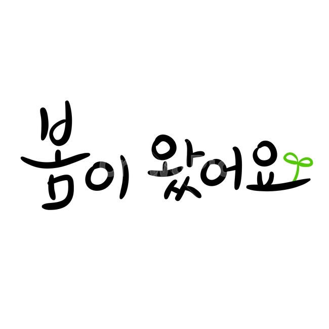 봄,손글씨,펜글씨,붓글씨,영문캘리,캘리,캘리그라피,봄,계절,spring,season,누끼,remove background,캘리그라피,손글씨,calligraphy