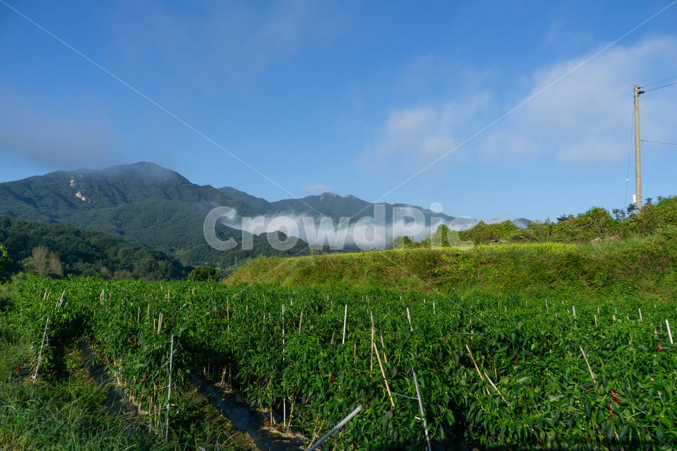 자연,해무,구름,조화,평화로움,자연,풍경,nature,landscape,outdoors,옥외