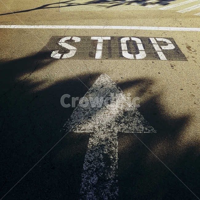 풍경,stop,정지,도로,하와이,교통,교통수단,traffic,transportation,cross,가로 질러 가다