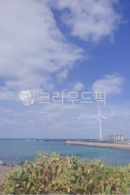 atmosphere,blue sky,ocean,Cactus,blue light,jeju island
