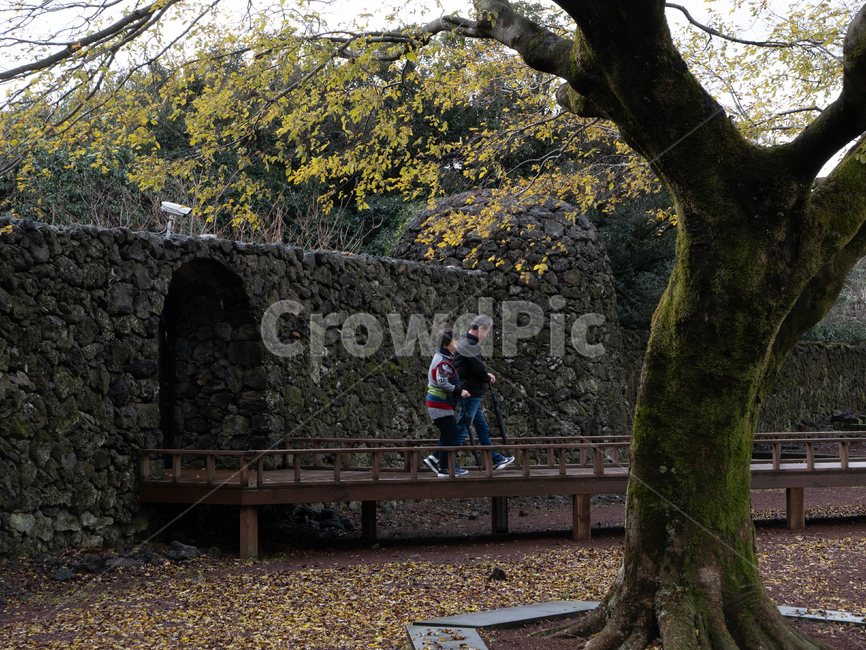 human,인간,person,plant,나무,tree,사람,식물,treetrunk,제주,제주도,jeju,landscape,nature,자연,풍경,산굼부리,나무줄기,자연,풍경,nature,landscape,가족,패밀리,family