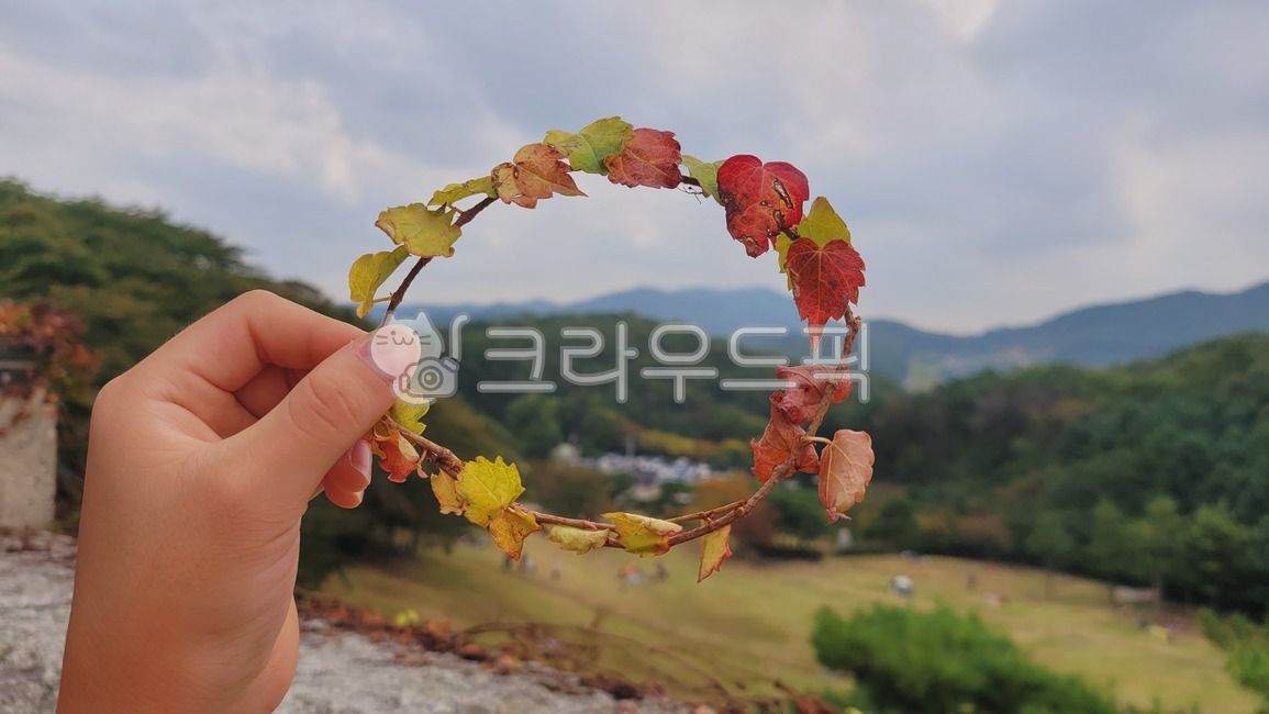 Crown,Vine Crown,ring,ivy,plant crown