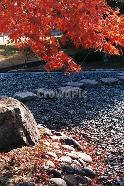 일본,필름,풍경,가을,나무,japan,film,필름카메라,filmcamera,fall,autumn,tree,shrine,신사,landscape,scene,view,scenery