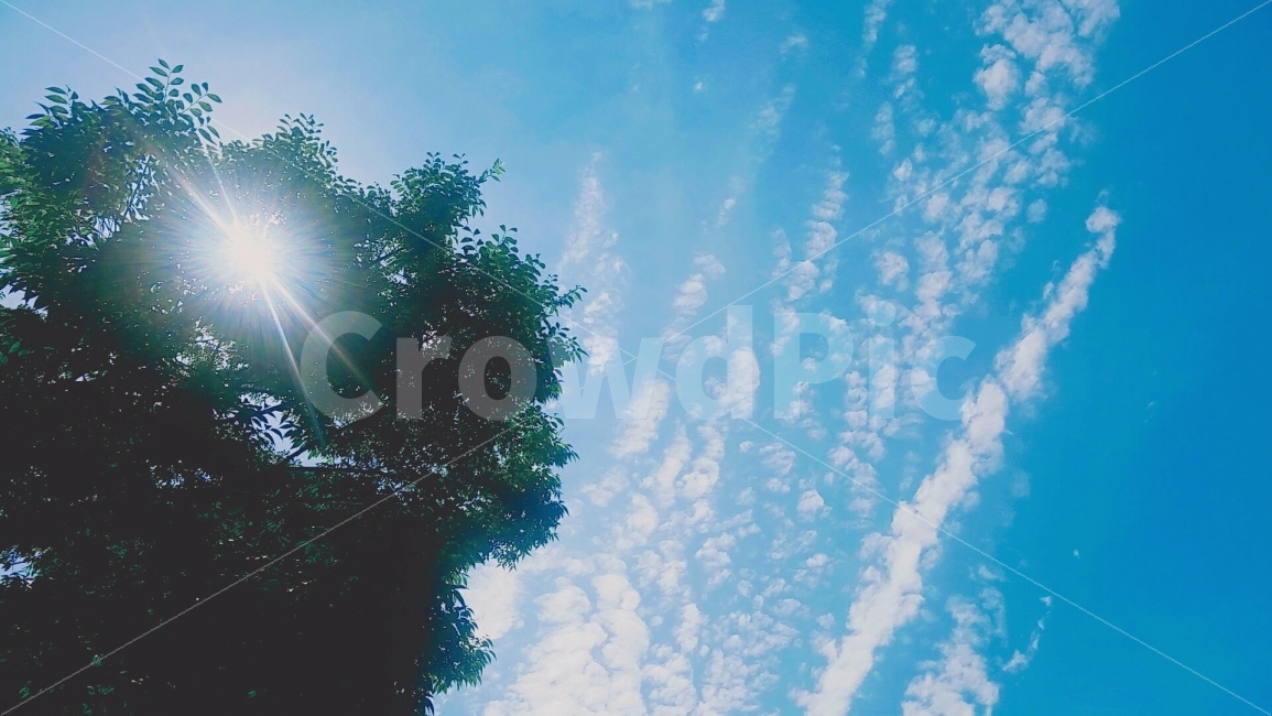 인사동,하늘,나무,햇살,구름,태양,햇빛,sky,trees,sunshine,sunlights,clouds,sun,sunny,자연,풍경,nature,landscape,여름,계절,summer,season,flare,플레어,light,빛
