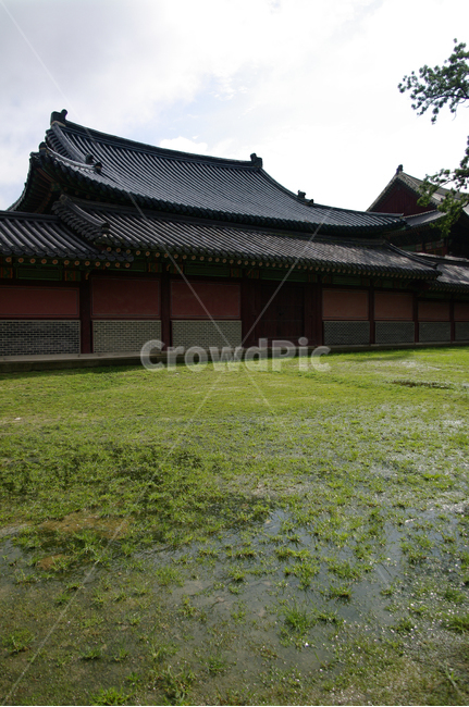 창덕궁,고궁,한옥,전통가옥,기와지붕,건축,traditional,한국전통,한국문화,korean traditional,korean culture,랜드마크,landmark,tourist attraction,한국랜드마크,한국관광지,한국명소,korea landmark,korea tourist attraction,건축물,건물외관,exterior,building,structure,architecture,construction