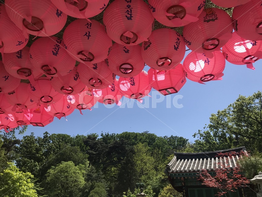 부처님오신날,석가탄신일,연등,불교,절,호국지장사,현충원,국립현충원