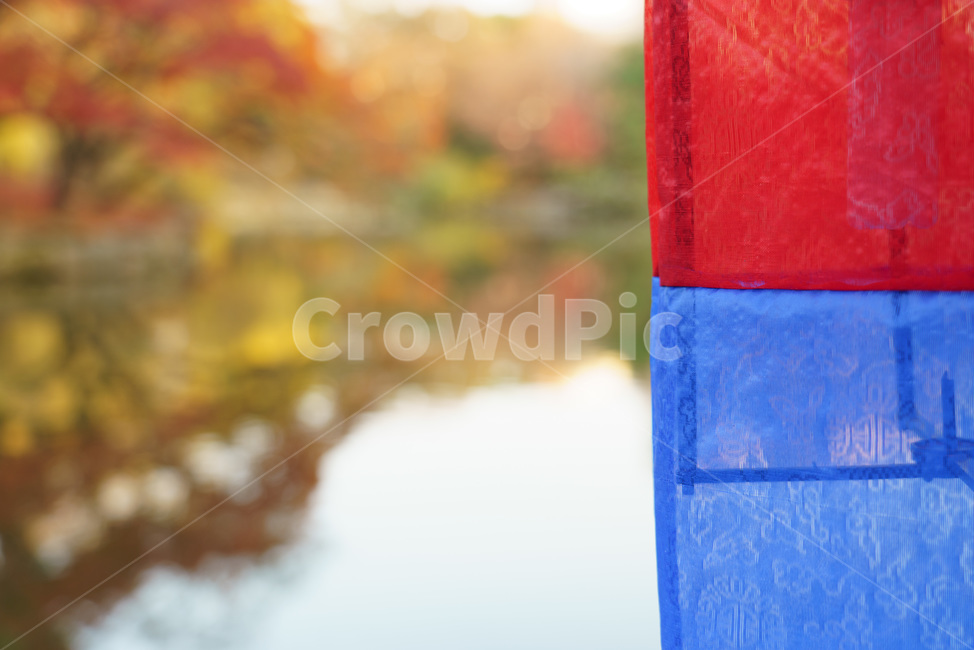 등불,반영,궁,가을,단풍,조용한,호수,물,평온한,아름다운,autumn,maple,calm,water,palace,beautiful,mirror,잔잔한,창경궁,고즈넉한,낭만적인,한국전통,한국문화,korean traditional,korean culture