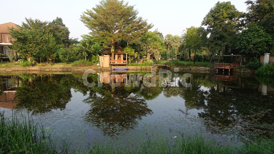물,water,반영,reflection,house,집,pond,outdoors,옥외,nature,자연,못,연못,주택