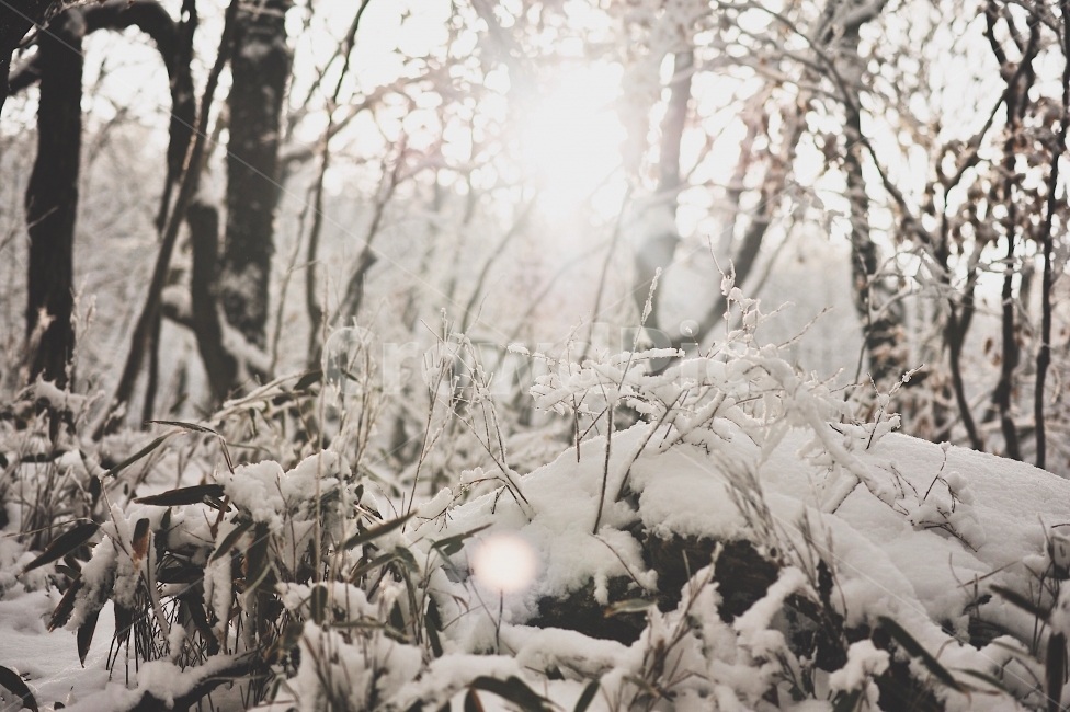 풍경,설산,눈,스냅,겨울산,겨울,계절,winter,season,감성,sensible,feeling