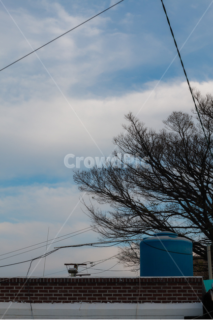 하늘,풍경,나무,거리,길거리,시골,마을,풍경,landscape,country,rural,town