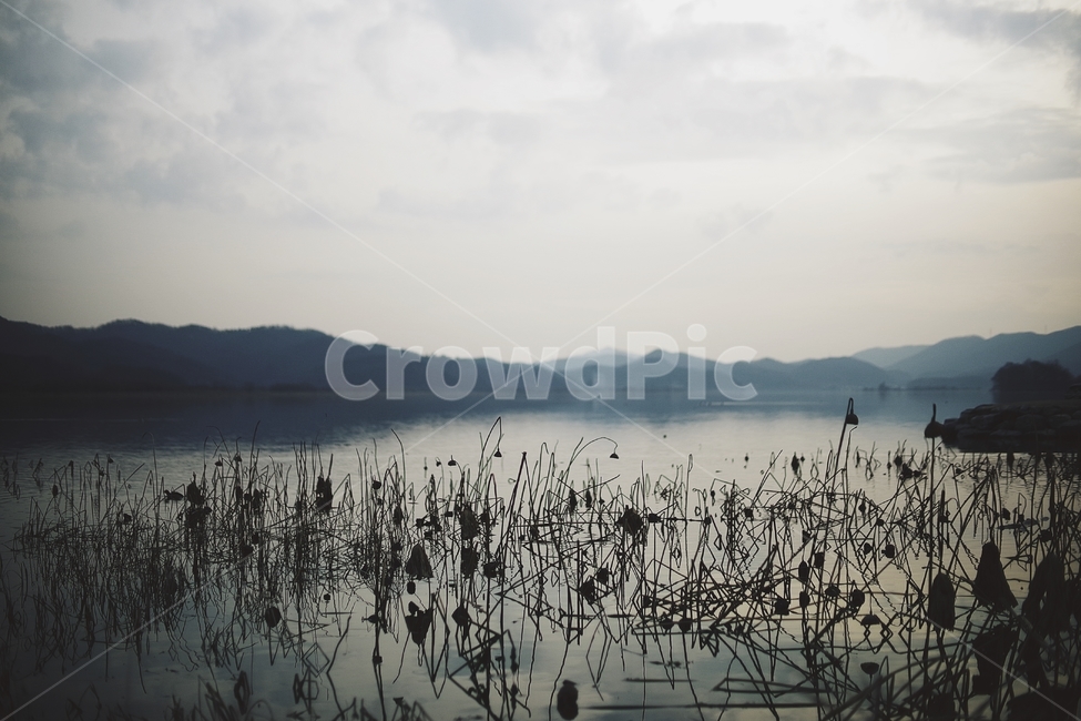 나무,자연,가을,겨울,tree,그림자,호수,호수공원,붉은,red,land,water,물,nature,grass,잔디,plant,식물,outdoors