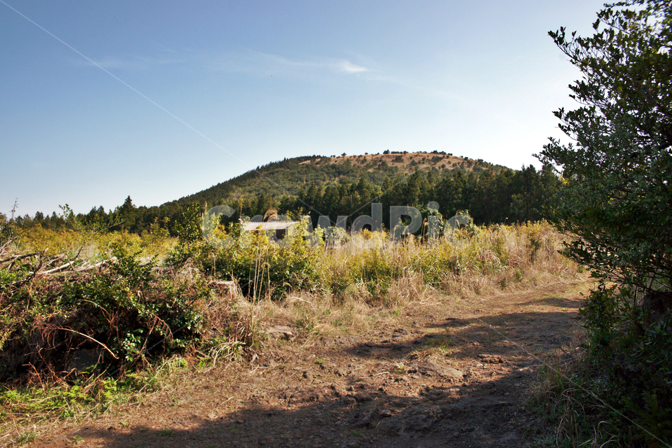 제주,서귀포,올레71코스,올레길,중산간,고근산,자연,풍경,nature,landscape,ground,바닥,outdoors,옥외,road,도로,dirt road,흙길,gravel,자갈