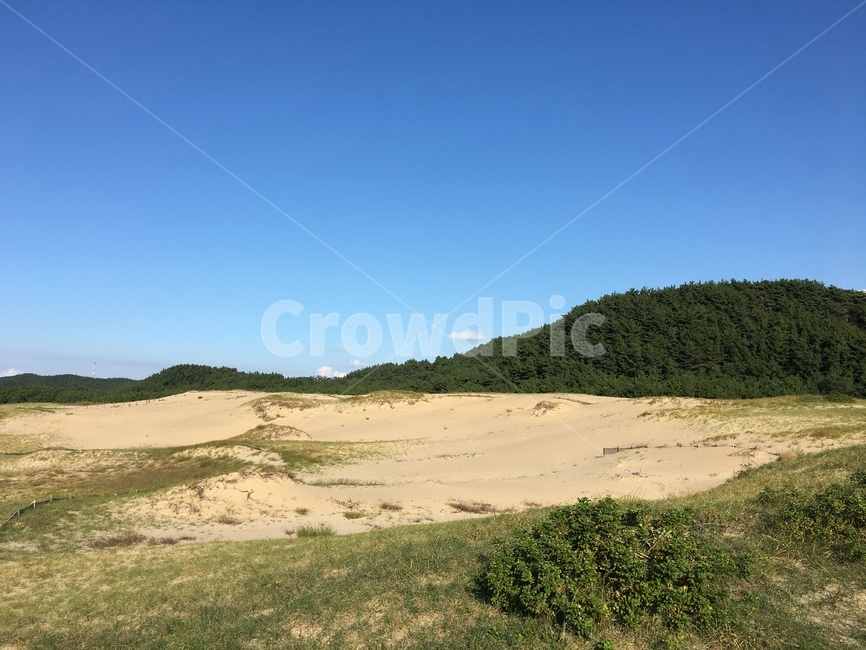 outdoors,옥외,dune,모래언덕,sand,모래,자연,nature,흙,soil,사구