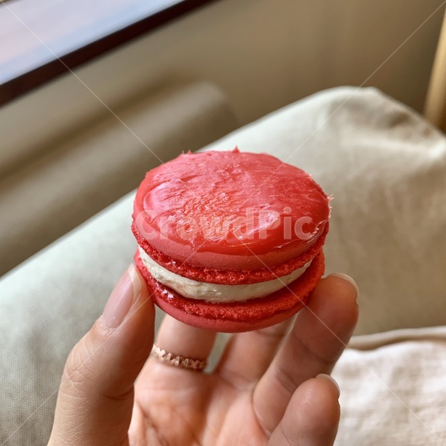 마카롱,디저트,음식,딸기마카롱,macaron,자몽색,핑크색,카페,음식,식재료,요리,food,cook,meal,dishes,food reserves,디저트,간식,후식,dessert,snack