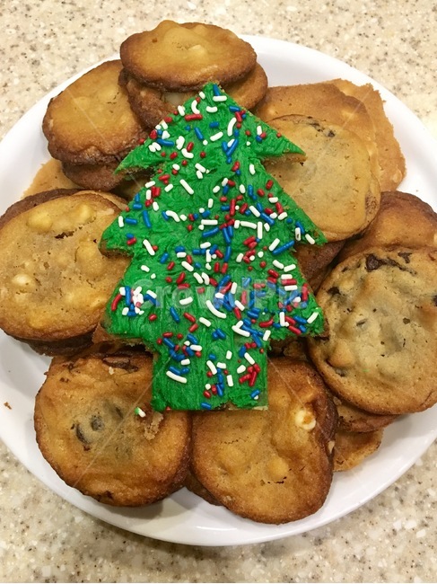 쿠키,크리스마스쿠키,cookie,christmas,christmastreecookie,treecookie,아이싱쿠키,기념일,축하,anniversary,congratulation,celebrate,celebration,메리크리스마스,성탄절,merry christmas,음식,식재료,요리,food,cook,meal,dishes,food reserves,디저트,간식,후식,dessert,snack