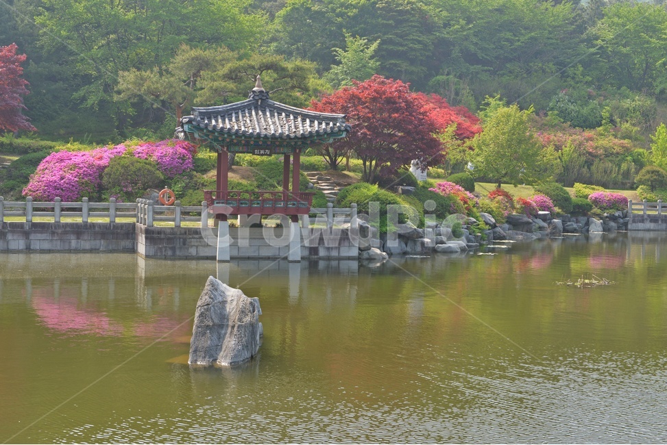 충남,대전,현충원,국립현충원,현충지,pond,못,garden,정원,연못,반영,현충지봄,철쭉,철쭉꽃,봄,계절,경치,경관,풍경,outdoors,옥외,nature,자연,water,물,plant,식물,tree,나무,정자,쉼터