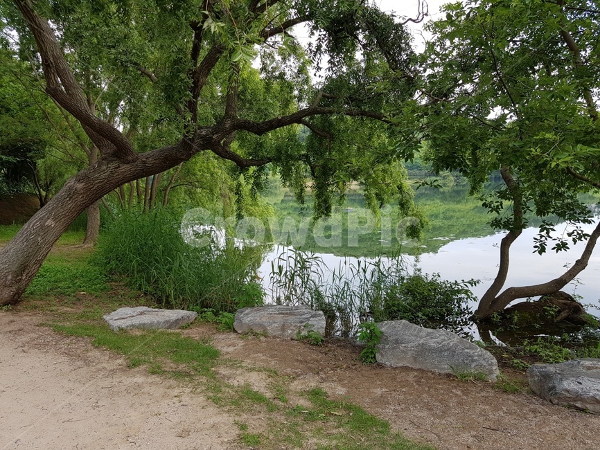 나무,호수,연못,오솔길,경치