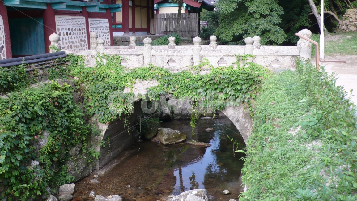 송광사,절,사찰,다리,덩굴,한국전통,한국문화,korean traditional,korean culture