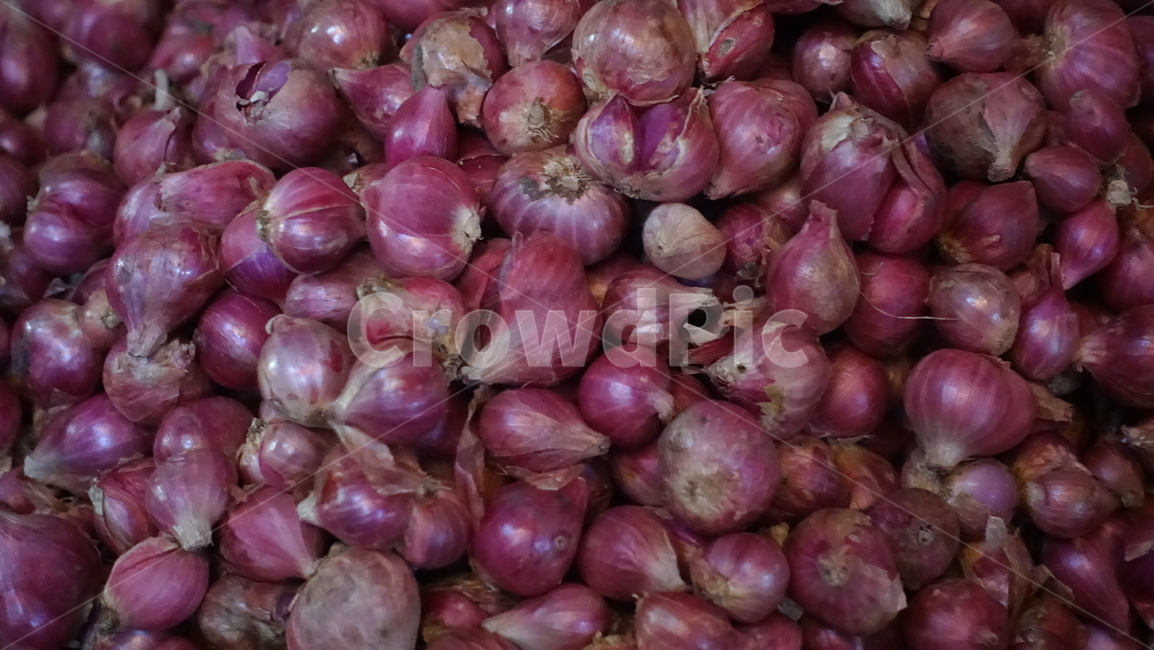 market,음식,food,시장,샬롯,양파,pink,마늘,분홍,식재료