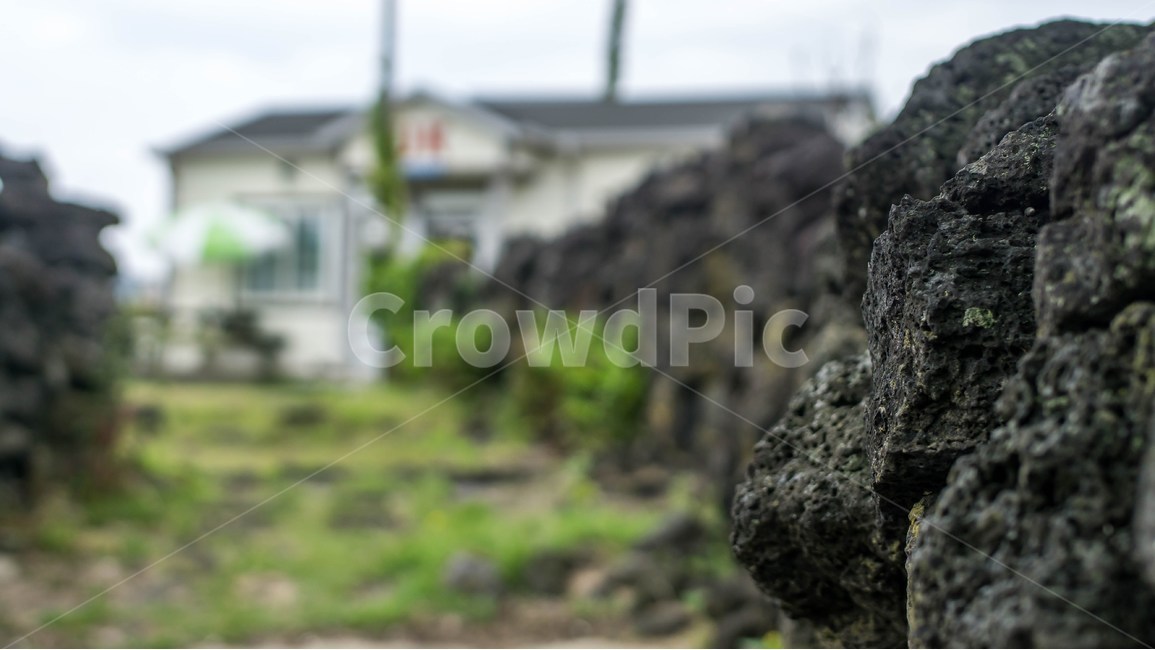 제주,돌담,한적,마당,입구,제주도,jeju,jeju island,rock,록