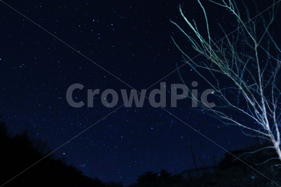 야경,별,밤하늘,풍경,별사진,자연,풍경,nature,landscape,야경,밤,nightscape,night,outdoors,옥외,astronomy,천문학,universe,우주,starry sky,별이 빛나는 하늘,outer space,대기권 밖,space
