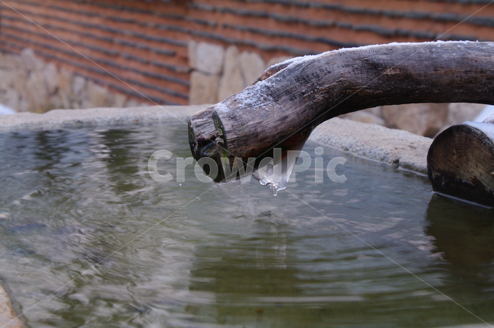 겨울,얼음,wood,나무,물,감성사진