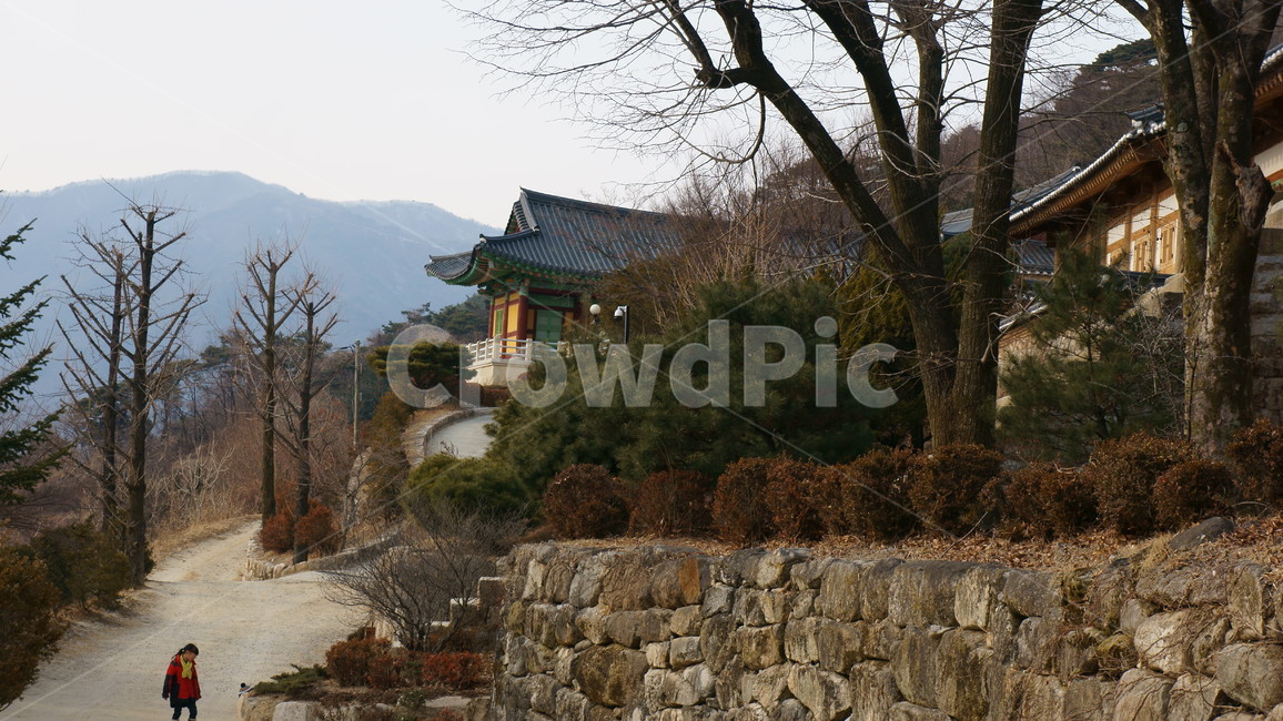 영주부석사,무량수전,유네스코세계문화유산,역사체험지,사찰건축,봉황산