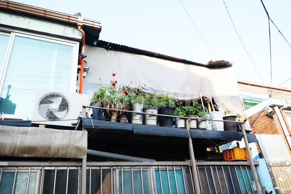 화분,도시,집,식물,골목,골목길,2층집,에어컨실외기,건축물,건물외관,exterior,building,structure,architecture,construction