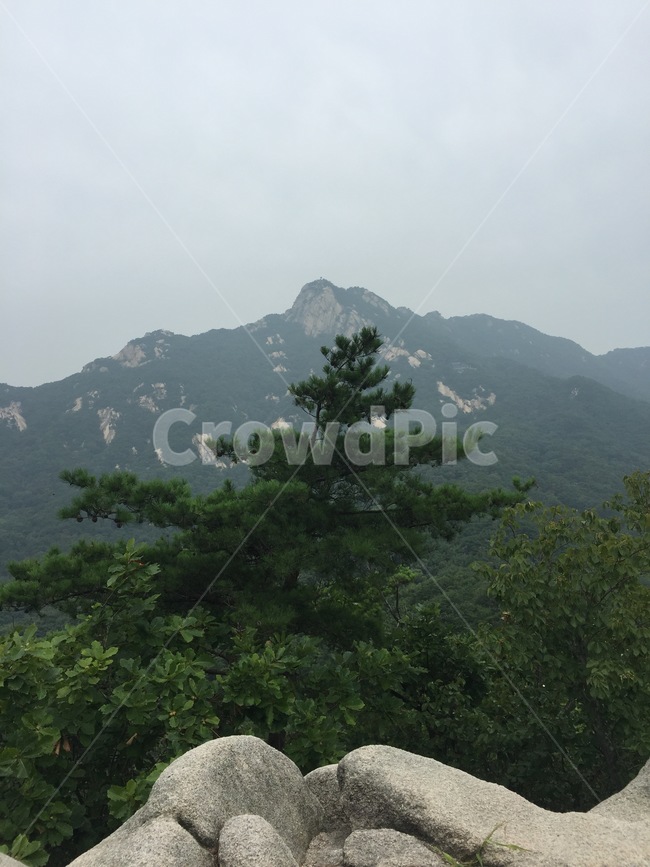 북한산,등산,자연,하늘,여름,자연,풍경,nature,landscape,한국자연풍경,한국자연경관,korea nature landscape,outdoors,옥외,tree,나무,plant,식물
