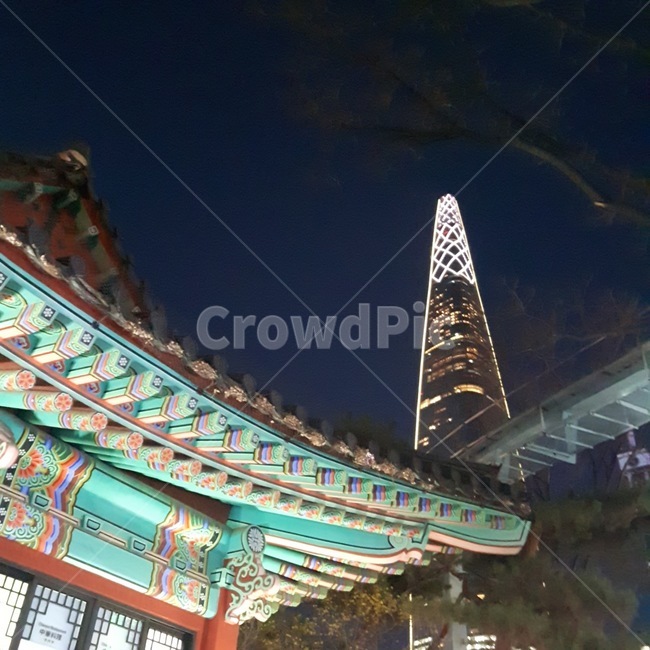 밤,궁전,롯데월드,롯데월드타워,절,밤하늘,한국전통,한국문화,korean traditional,korean culture,건축물,건물외관,exterior,building,structure,architecture,construction