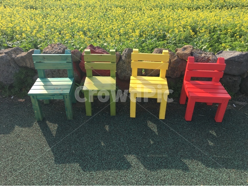 의자,chair,들판,field,colorful,색,color,blue,green,yellow,red,파랑,녹색,노란색,빨간색,야외,outdoor,배경,background,한국,korea,제주도,식물,자연,plants,nature,꽃,flower,사물,물건,오브젝트,thing,object,matter