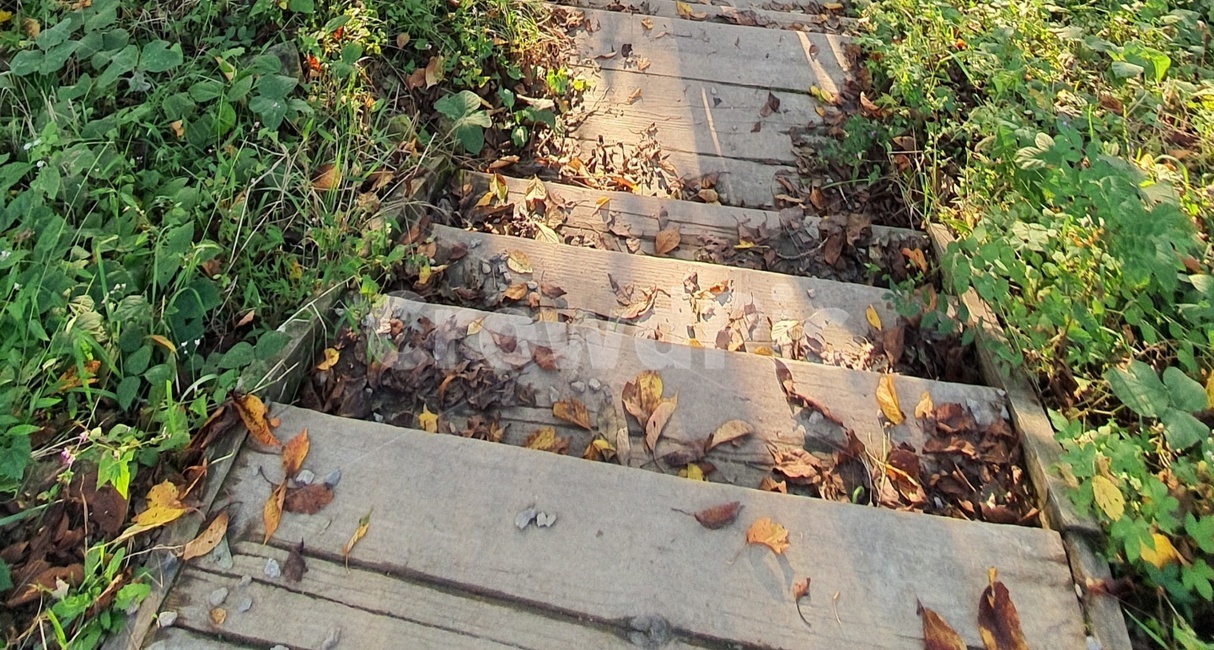 보도,slate,walkway,테크,가을,자연,풍경,nature,landscape,flagstone,판석,슬레이트,path,통로