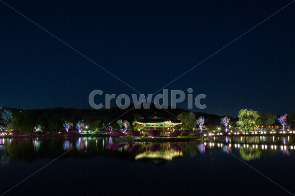 풍경,랜드스케이프,한국,궁남지,부여,야경,밤,풍경,nightscape,night,landscape,한국전통,한국문화,korean traditional,korean culture,건축물,건물외관,exterior,building,structure,architecture,construction,hotel,호텔,건물