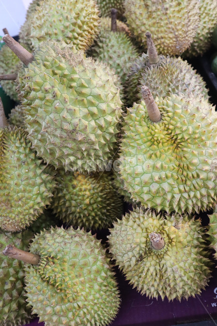두리안,durian,열대과일,아시아과일,tropicalfruit,smell,fruit,vietnamesefruit,asianfruit,thailandfruit,spinous,aculeate,뾰족한,녹색,green,과일,베트남과일,태국과일,냄새나는과일,냄새
