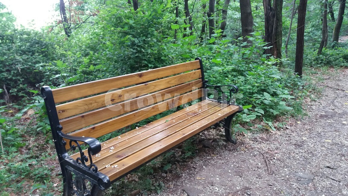 공원,휴식,안정,평화,자연,숲,여유