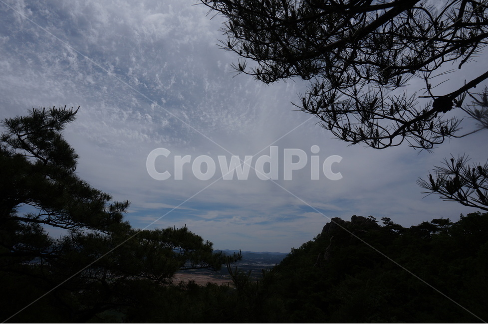 용봉산,하늘,구름,바위,봄,초록,자연,풍경,nature,landscape,한국자연풍경,한국자연경관,korea nature landscape,outdoors,옥외,plant,식물,tree,나무