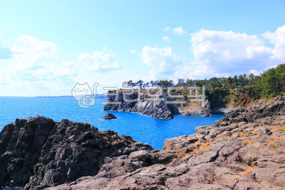 서귀포해안,바닷가,절벽,벼랑,바위,암석,암벽,나무,nature,자연,outdoors,옥외,water,물,cliff,낭떠러지,sea,바다,shoreline,해안선,coast,해안