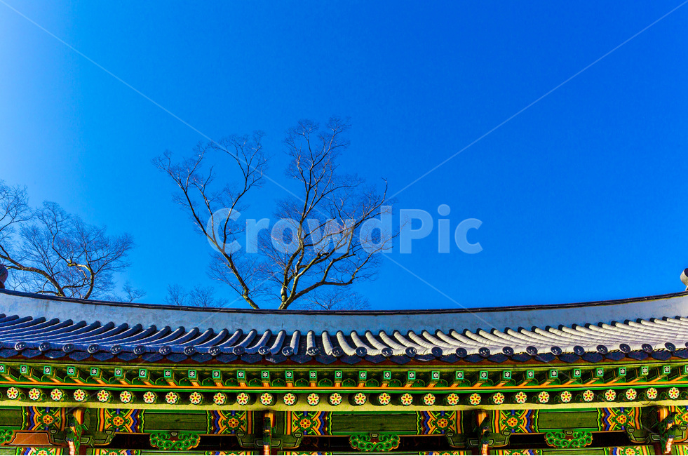 기와,선,문양,단청,패턴,문화유산,한국전통,한국문화,korean traditional,korean culture,건축물,건물외관,exterior,building,structure,architecture,construction
