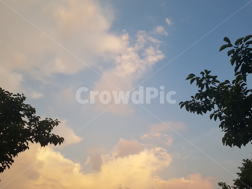구름,하늘,sky,cloud,자연,해질녘
