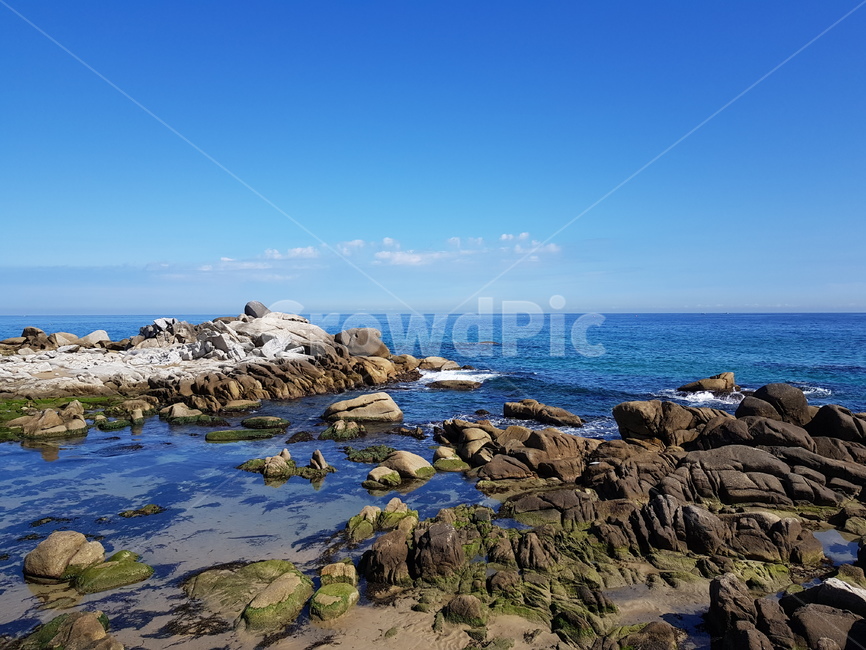 동해바다,바다,바위,푸른바다,파란색