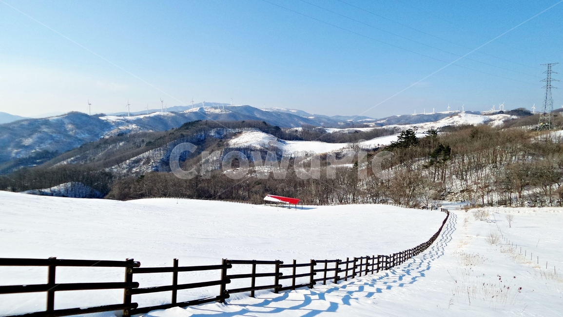 강원도,설경,하늘목장,풍경,하늘,바람,겨울,겨울왕국,감성,landscape,landmark,snow,경치,산,대관령,겨울,계절,winter,season,자연,풍경,nature,landscape,한국자연풍경,한국자연경관,korea nature landscape,outdoors,옥외,mountain