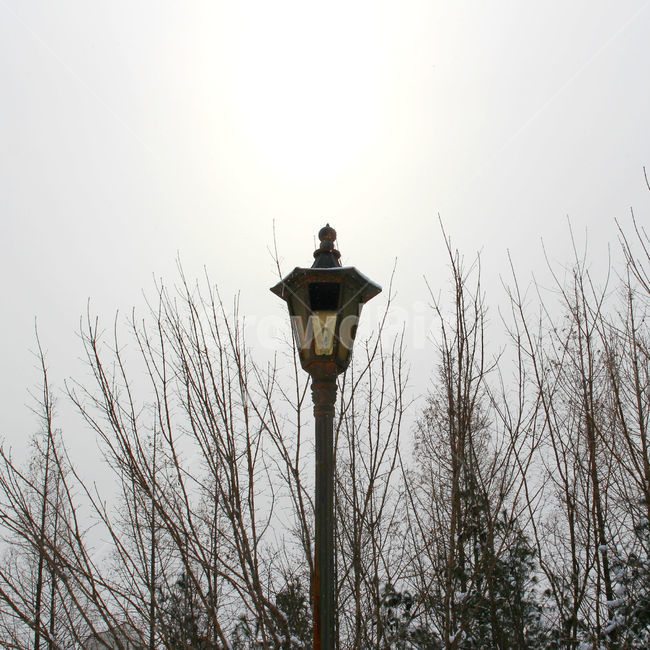 감성사진,풍경,겨울,눈,자연,가로등,몽환적,snow,winter,겨울,계절,winter,season,자연,풍경,nature,landscape,lamp post,램프 포스트