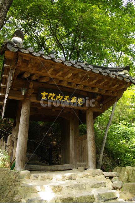 입구,암자,나무,초록,계단,한국전통,한국문화,korean traditional,korean culture,건축물,건물외관,exterior,building,structure,architecture,construction