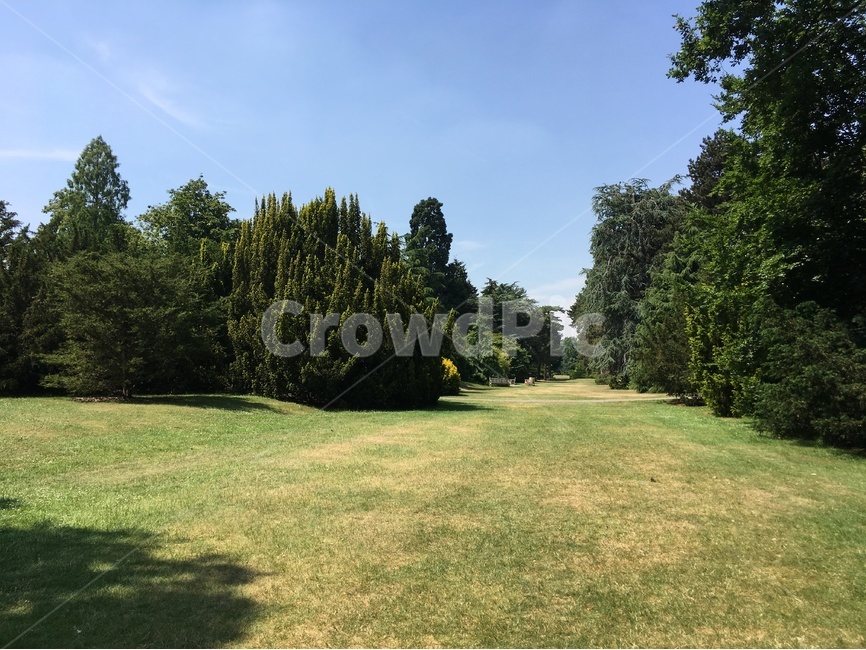 공원,파크,휴식,감성,영국,park,화창한,맑은,큐가든,garden,정원,자연,풍경,nature,landscape,grass,잔디,plant,식물,field,들,grassland,목초지,outdoors,옥외