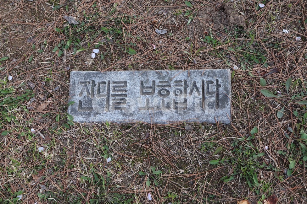 잔디를보호합시다,잔디밭,공원잔디,식물,park,protectionofgrass,잔디,풀,규칙,공원