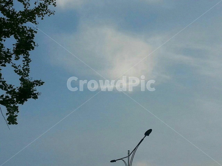sky,하늘,구름,cloud,vaportrails,비행구름,자연,풍경,nature,landscape