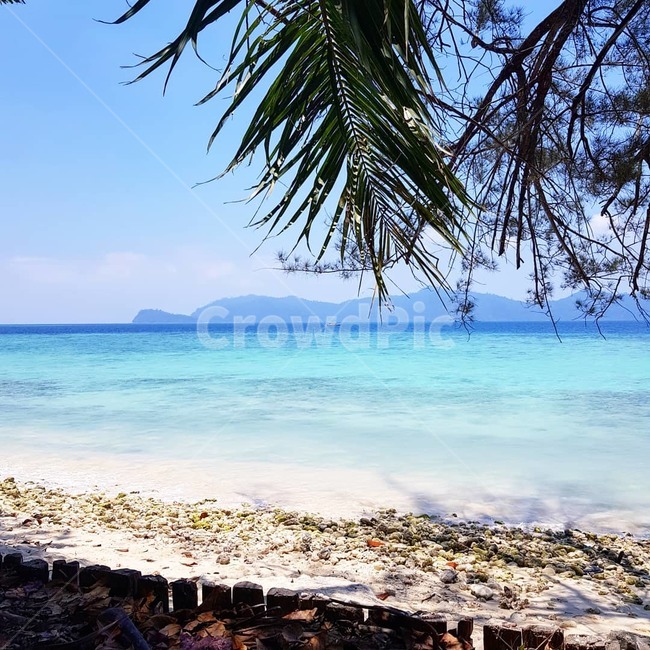 바다,여름,ocean,sea,summer