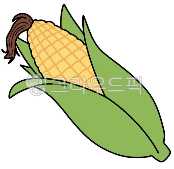 옥수수,여름,곡물,구황작물,일러스트,간식,음식,가을,야채,신선한,초당옥수수,찰옥수수,가을걷이,추수,corn,summer,autumn,food,illrustraion