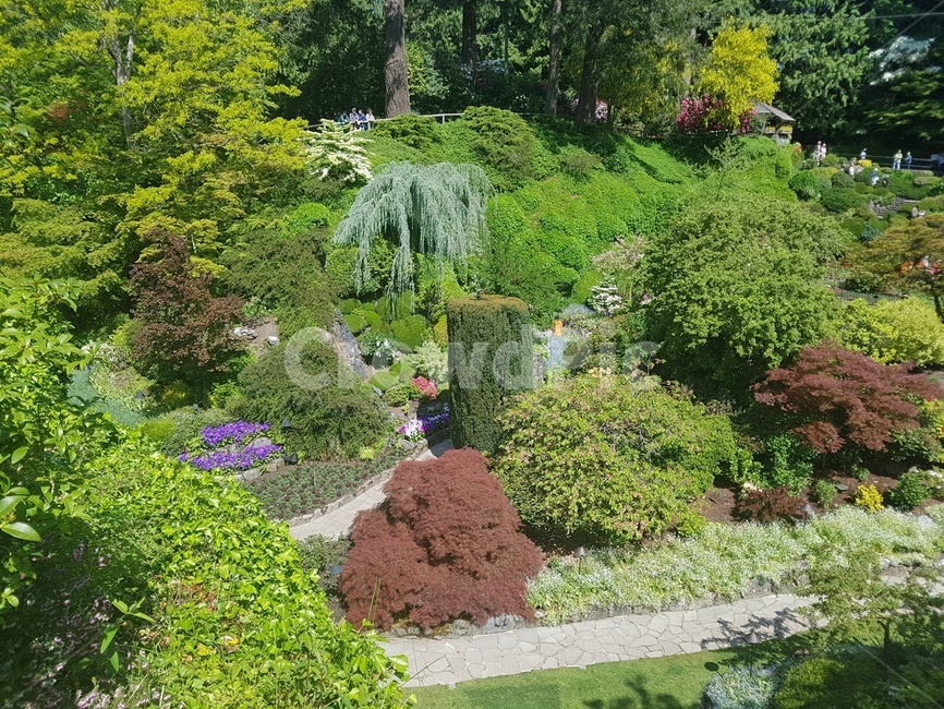 숲속,나무,가든,정원,꽃,봄,여름,식물,자연,plants,nature